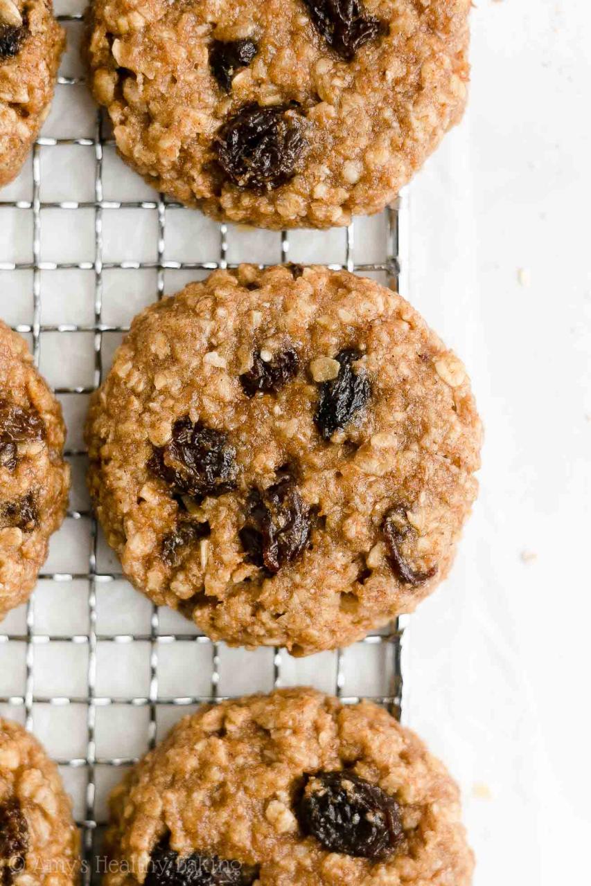 Healthy Flourless Oatmeal Raisin Cookies (Vegan) | Amy's Healthy Baking